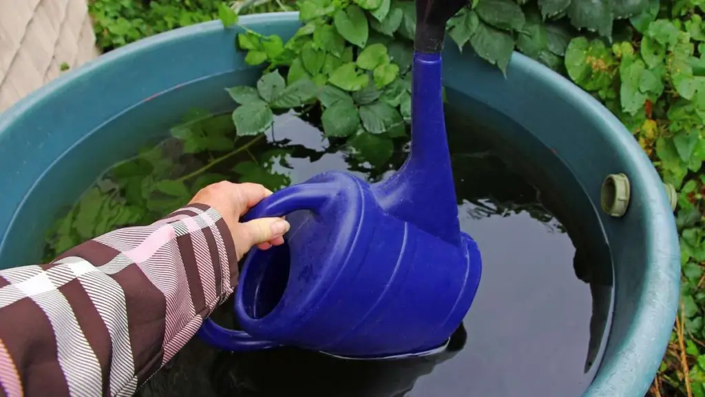 Regenwasser clever sammeln: 5 häufige Fehler vermeiden