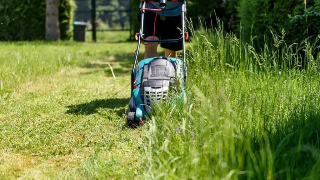 Das passiert, wenn Sie die Rasenschnitthöhe im Sommer nie anpassen